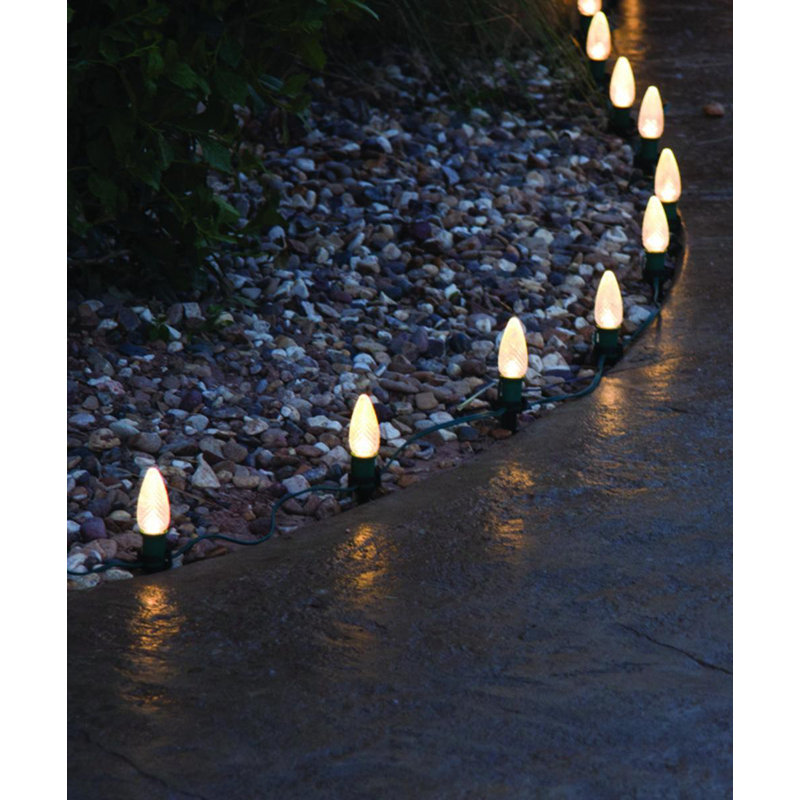 The Holiday Aisle Christmas Stakes 100 Light Luminary and Pathway Light